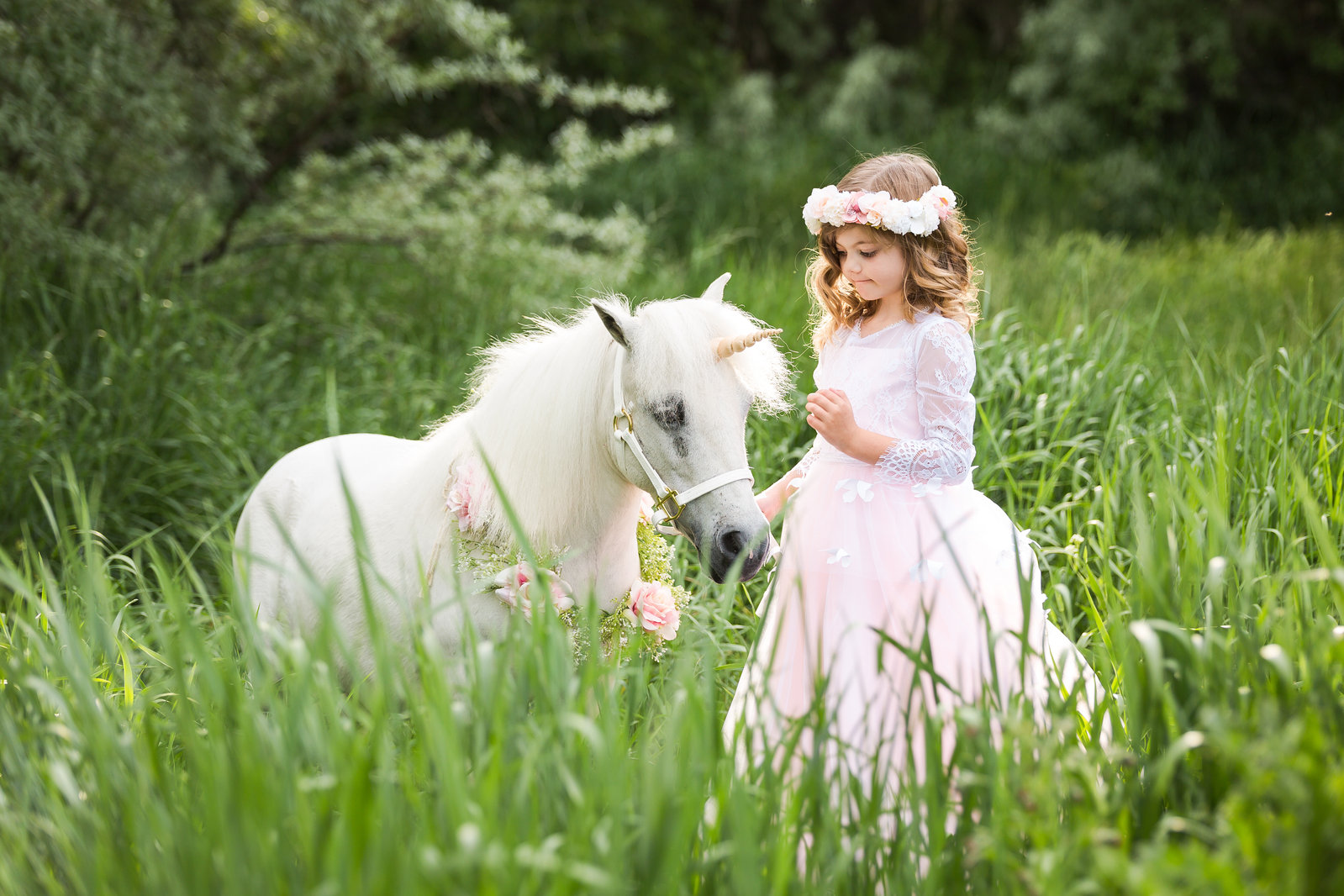 Two miniature ponies with flower crowns at a backyard birthday party